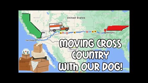 Moving Cross Country - California to Tennessee With My Dog - Vlog