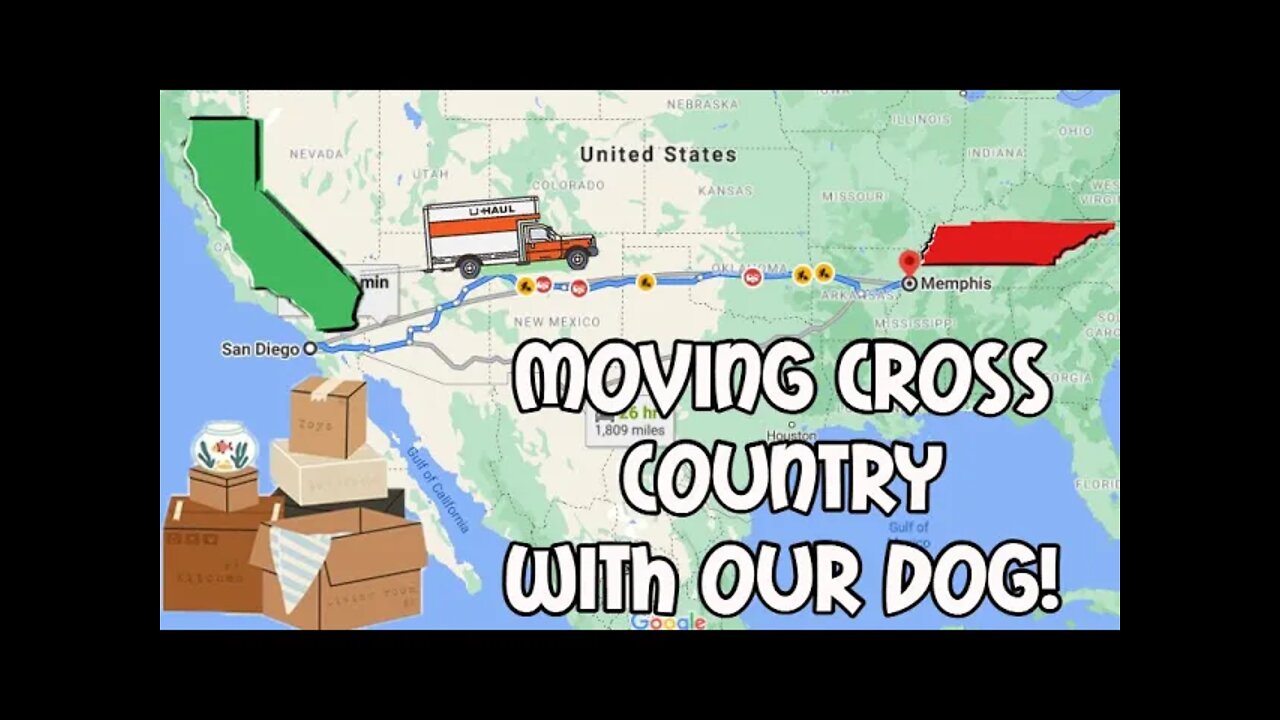 Moving Cross Country - California to Tennessee With My Dog - Vlog
