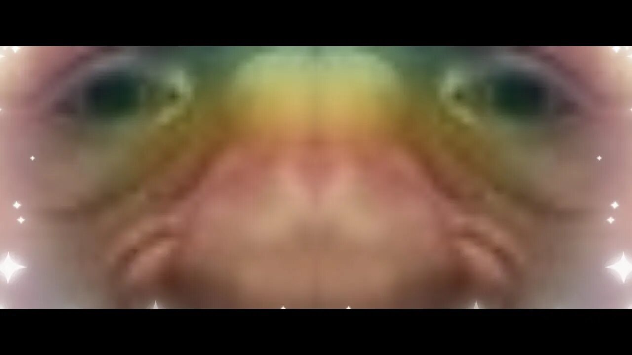 Bardin didn't like that