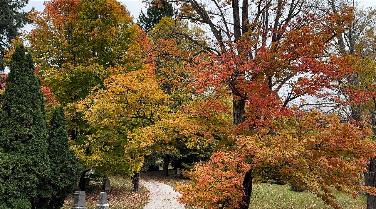 Gorgeous Autumn View in Toronto