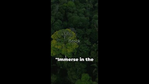 amazone rain forest amazing facts