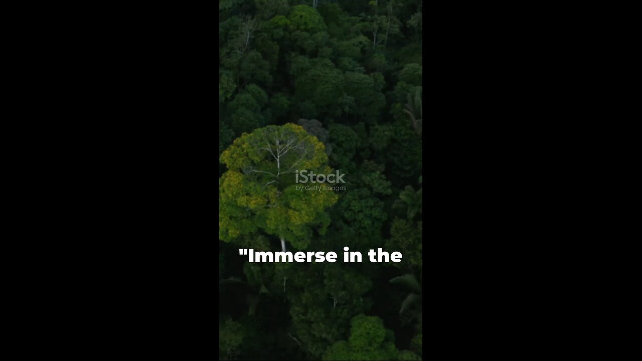 amazone rain forest amazing facts