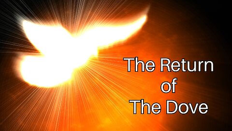 The Return of The Dove