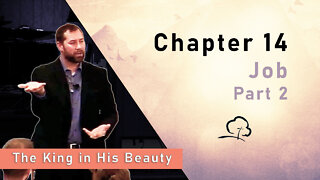 Chapter 14 - Job, Part 2