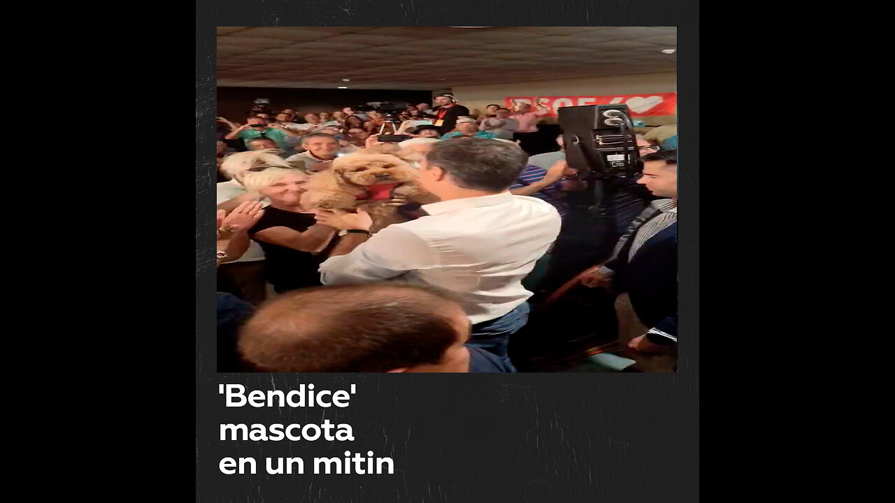Pedro Sánchez saluda al 'mejor amigo del hombre'