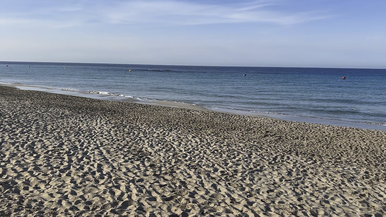 A Day in Paradise: Relaxing at the beach.