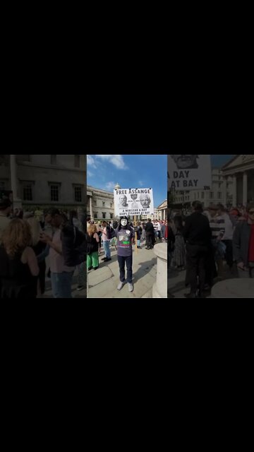 one man protest free Julian Assange #london