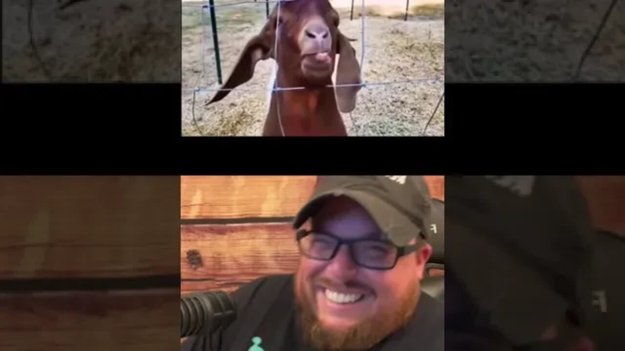 Here’s Your Dose Of REALarious…🤣🤣🤣