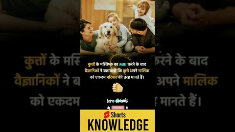 Motivational Quotes Intresting Facts lifestyle & research #shorts #ytshorts #knowledge #motivation