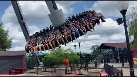 Black widwo of ride