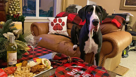 Great Dane Enjoys Festive Take Out & Handmade Christmas Memory Ornaments