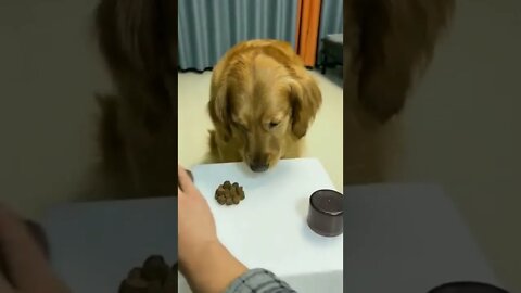 His reaction. 💕🤣🤣