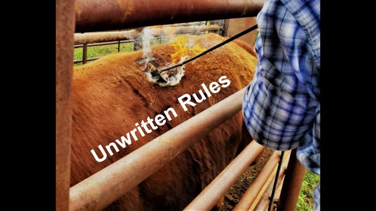 UNWRITTEN Social & Cultural Norms in Ranching (In the Chute - Round 78)