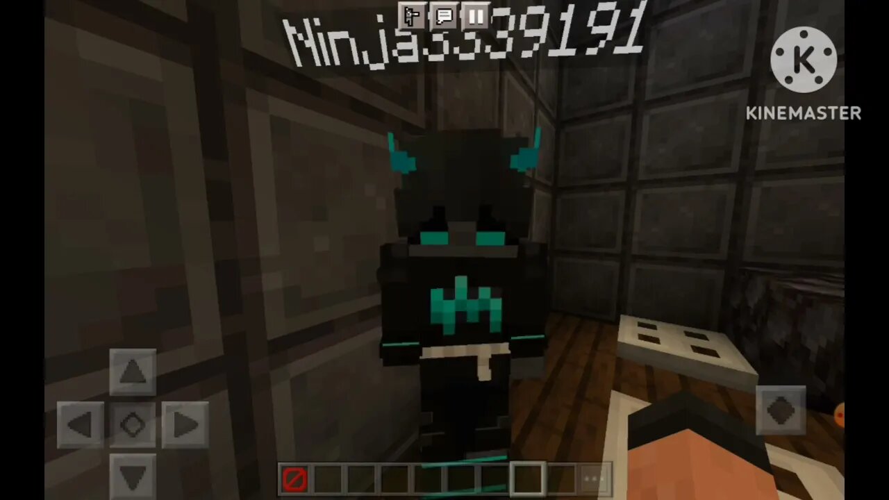 Minecraft and random baloney that I can't explain??