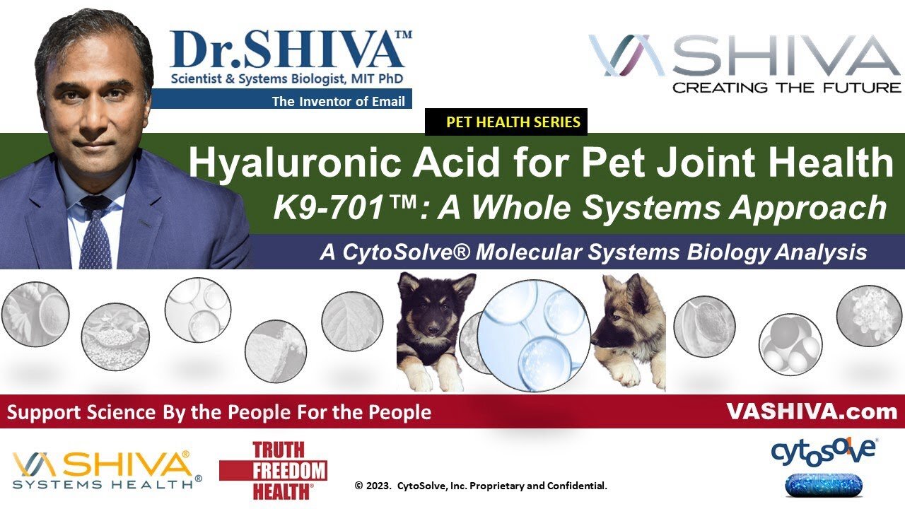 Dr.SHIVA™: Hyaluronic Acid for Holistic Pet Health in K9-701™(12/23)