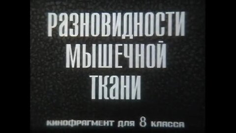 Разновидности мышечной ткани. Кинофрагмент для 8 класса.