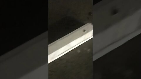 No Gang Stalking. Yay!