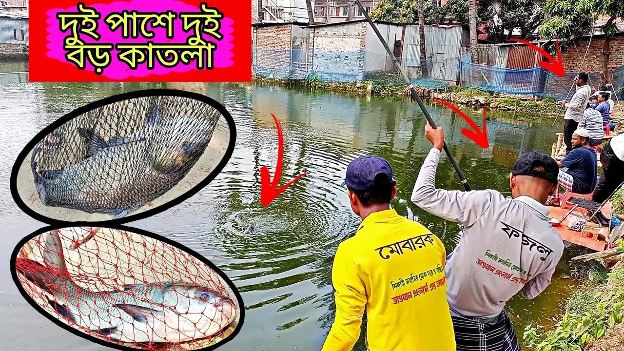 দুই পাশে দুই বড় কাতলা ধরা পরেছে/amazing katla fish catching