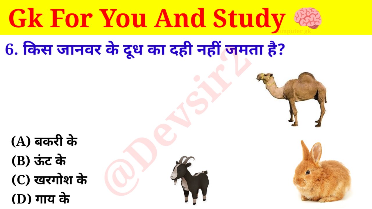 किस जानवर के दूध का दही नहीं जमता है? ‎@Crazy GkTrick #gkquiz #gk #gkinhindi #gkfacts ‎