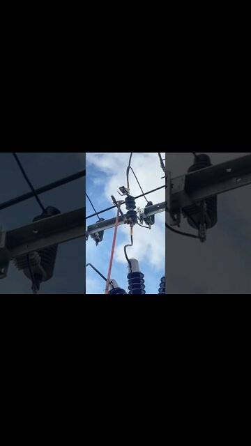 #shorts #2022 funny,prank,funjokes,dad jokes,funny memes,funny video,fun,laughing,funny animal,knock