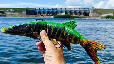 Throwing A 1 Pound SwimBait At A Spillway Until This Happens!