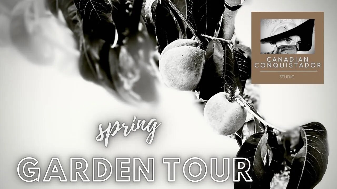 Backyard Gardening | Spring Garden Tour #FoodForest #Arvada