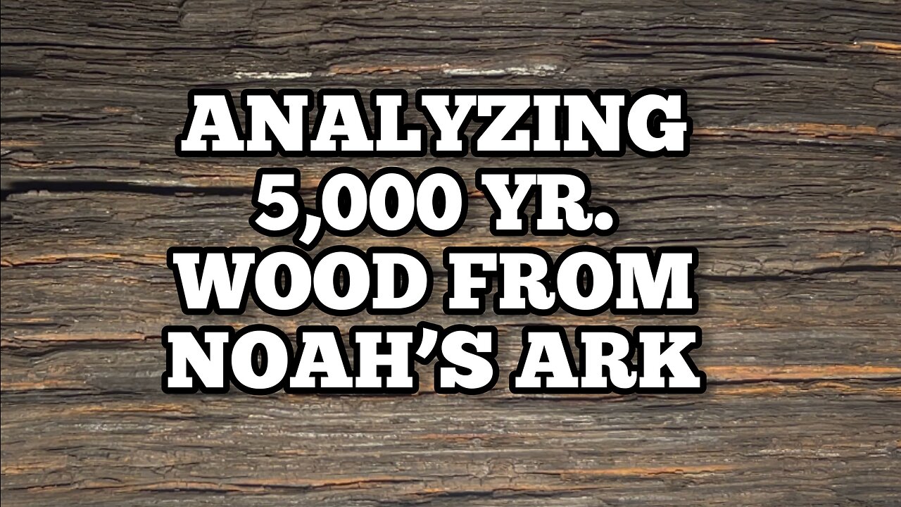 Examining 5000 YR. Wood From Noah's Ark