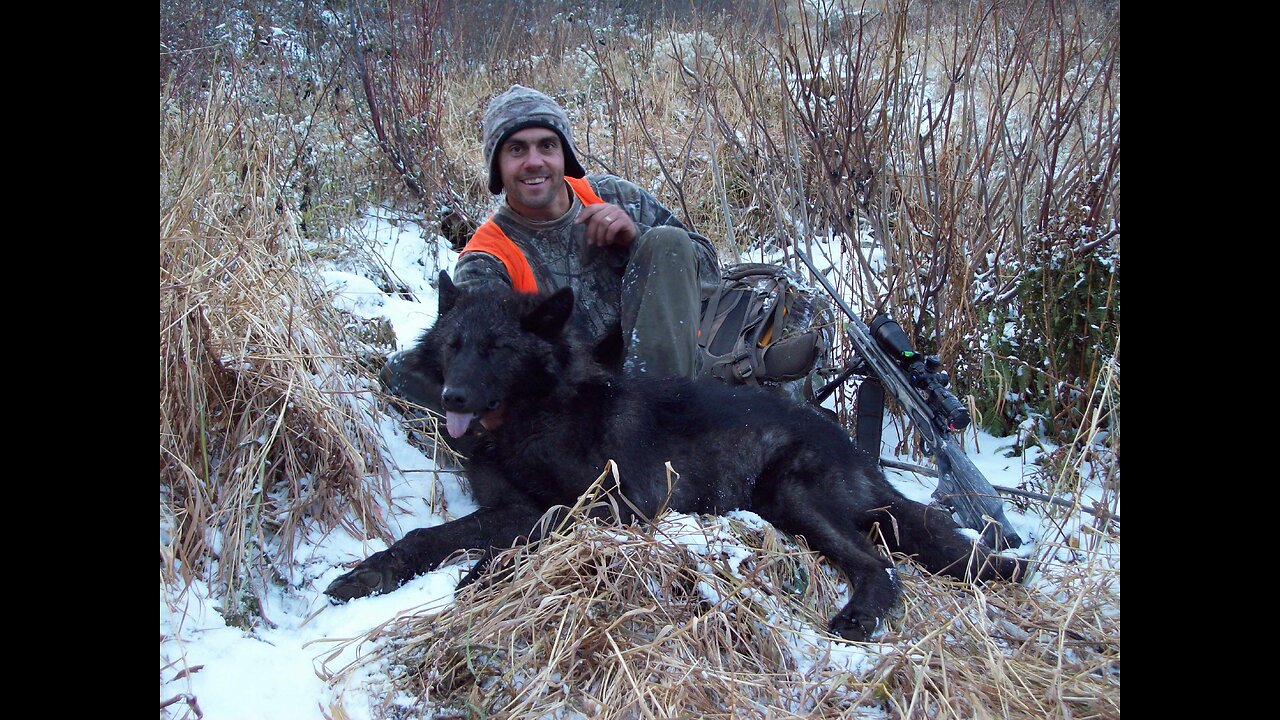 Public Land Wolf Hunting 3