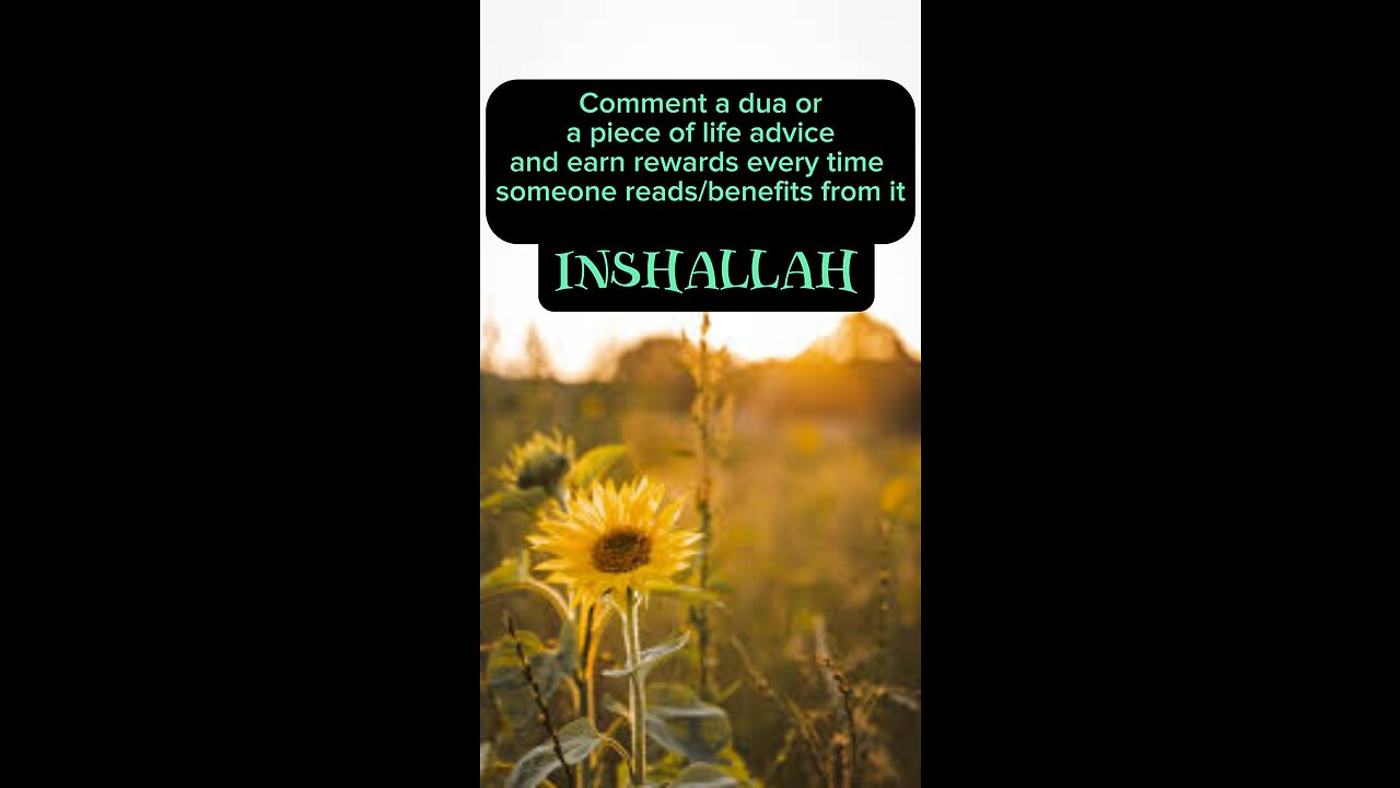 "✨ In the name of Allah, the Most Merciful, the Most Compassionate. ✨