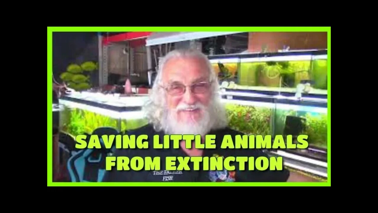 WE ARE SAVING LITTLE ANIMALS FROM EXTINCTION