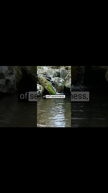 The Mid 2023 Energy Update is the reflection of your self-awareness, healing and growth #shorts