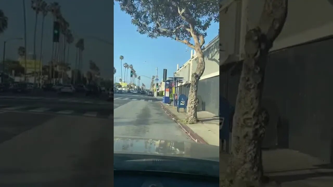 Rachel Have You Seen Ricky?