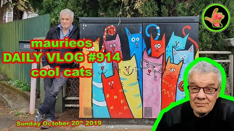 maurieos DAILY VLOG #914 cool cats
