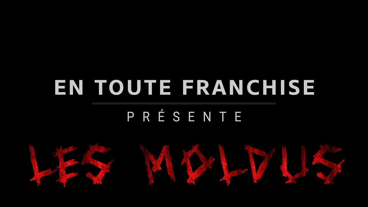 En toute franchise - Les Moldus