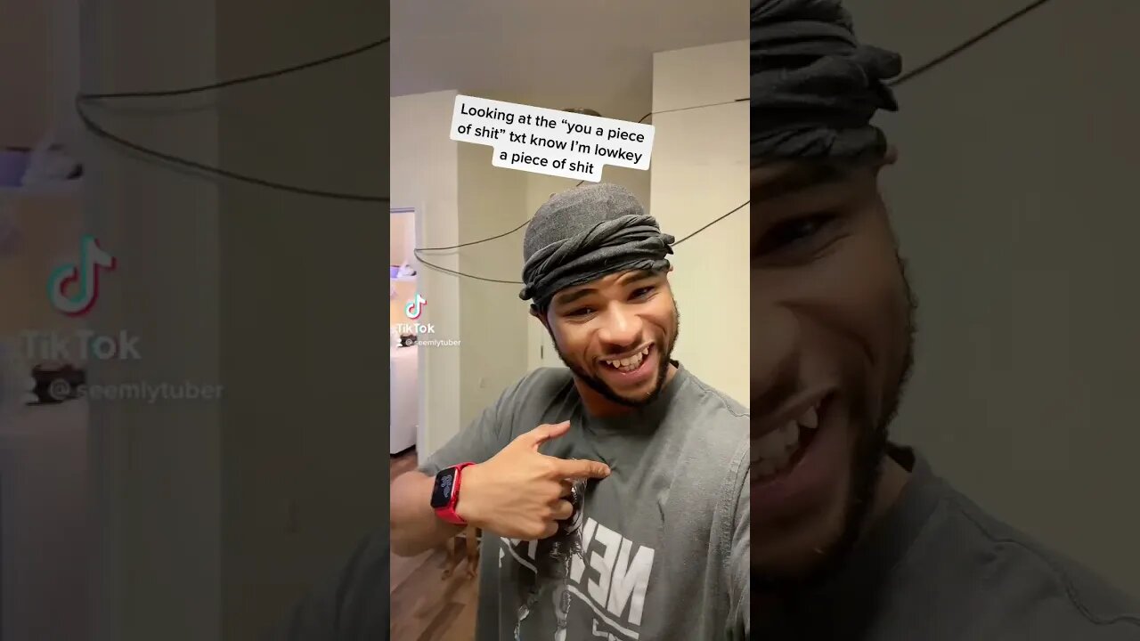 When they call you names and you actually are those things… seemlytuber reaction TikTok van funny