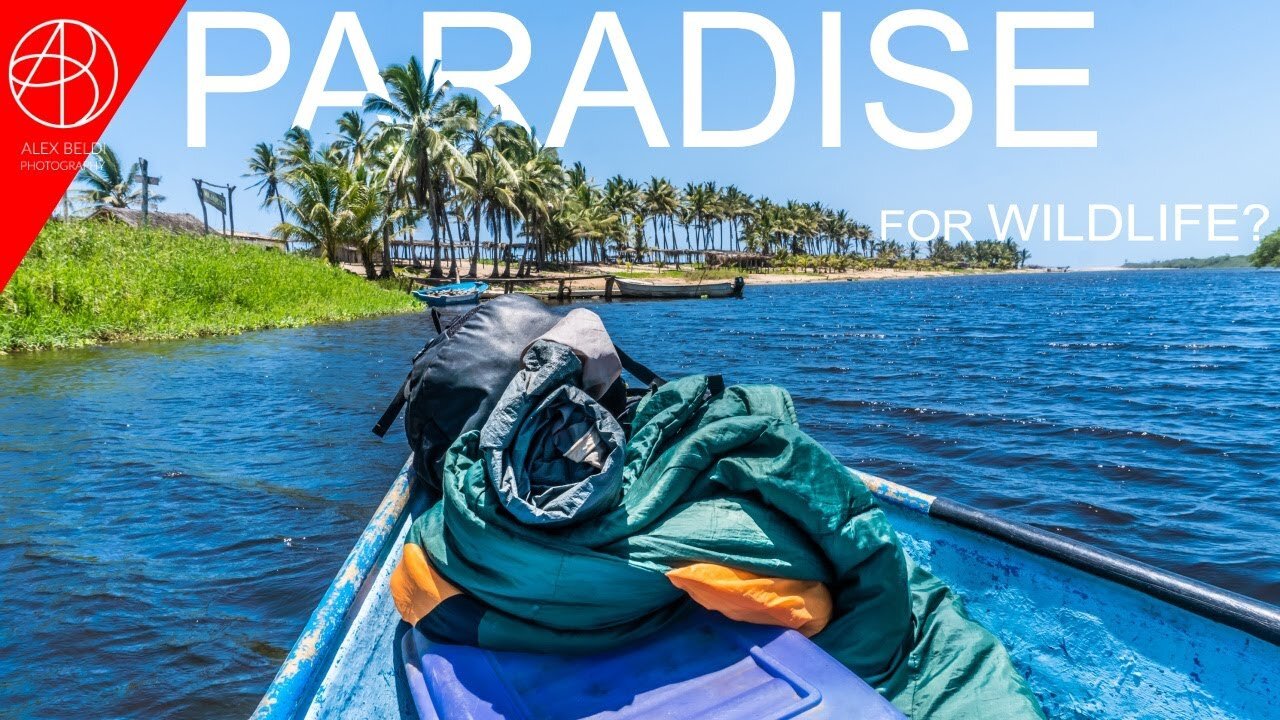 A PARADISE FOR WILDLIFE? MAJAHUAS, MEXICO