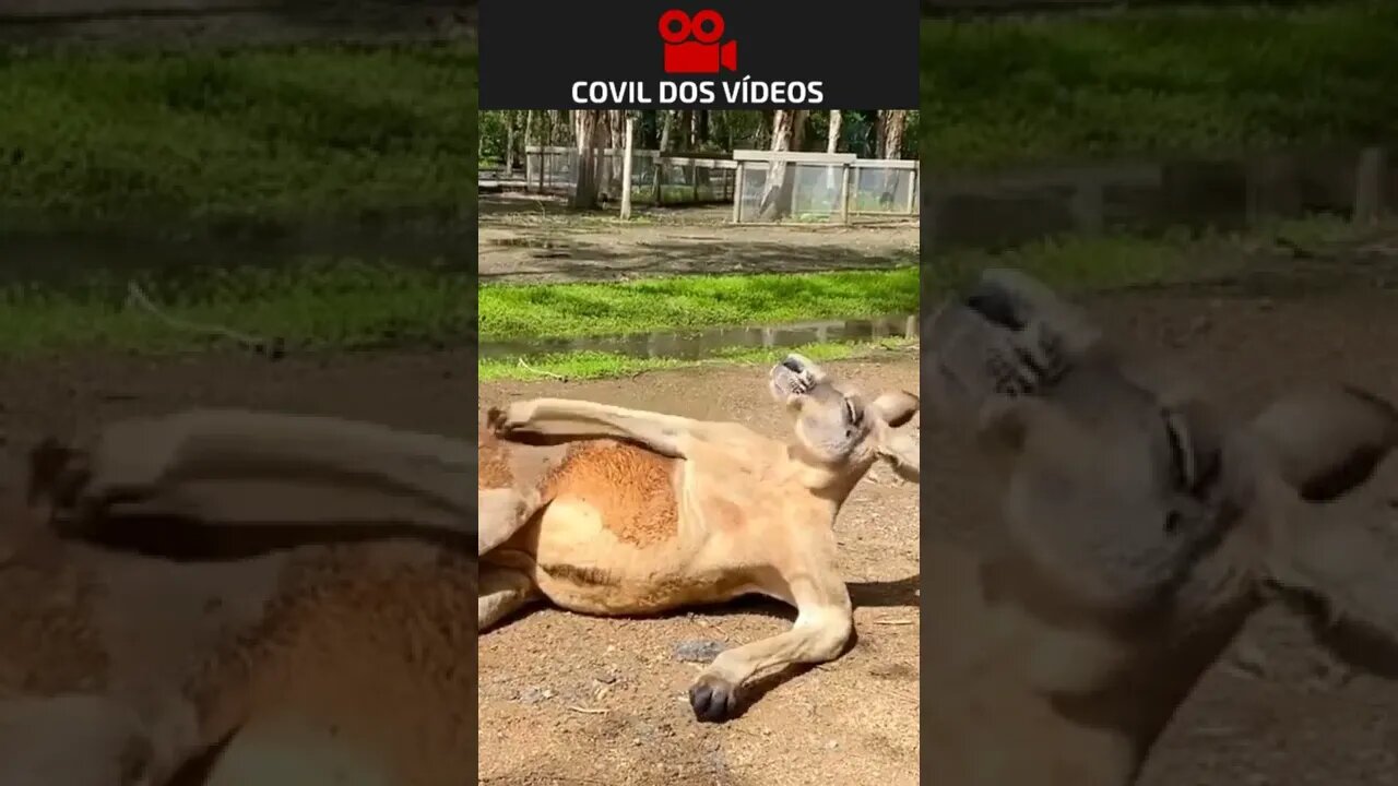 coçando e sensualizando 😂😂😂