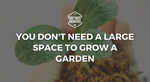 You don’t need a large space to grow a garden
