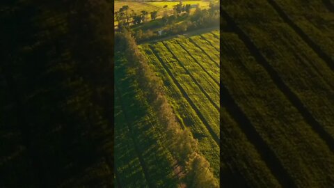 #beautiful#amazing#crop,#aerialvideo#nature#naturelovers#naturephotography