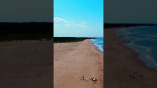 Man playing with his dog at the beach