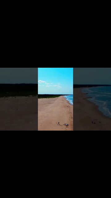 Man playing with his dog at the beach