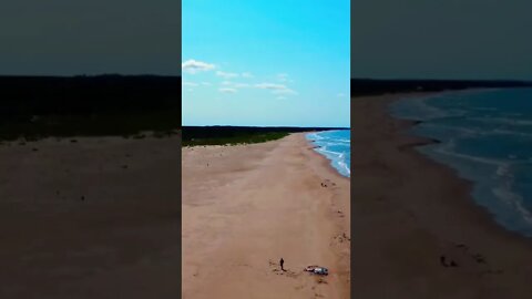 Man playing with his dog at the beach
