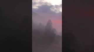 Exquisite late winter sunrise Australia. Sights and sounds.