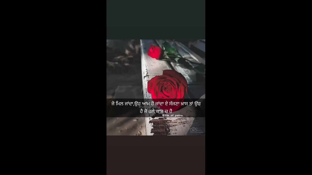 love status
