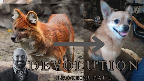 Devolution || Brother Paul Hanson