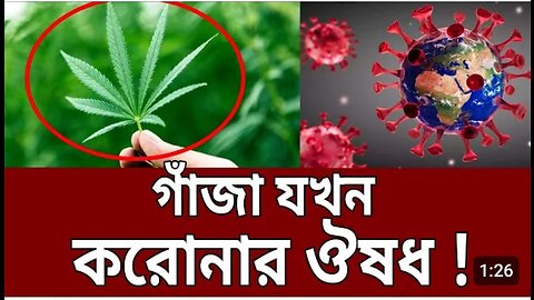 গাঁজা যখন করোনার ঔষধ ! _ Weed vs Corona _ Bangla News _ Mytv News