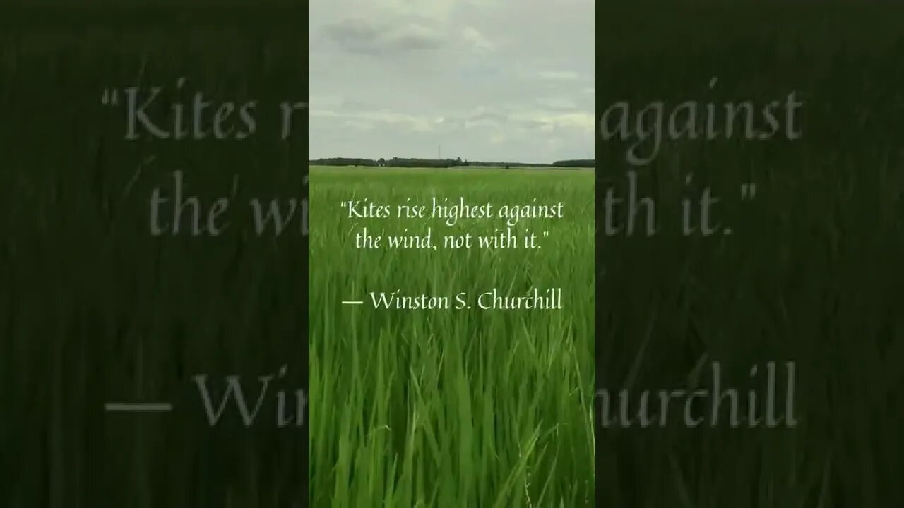 Success quote by Winston S Churchill