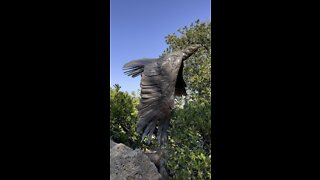 Eagle Sculpture