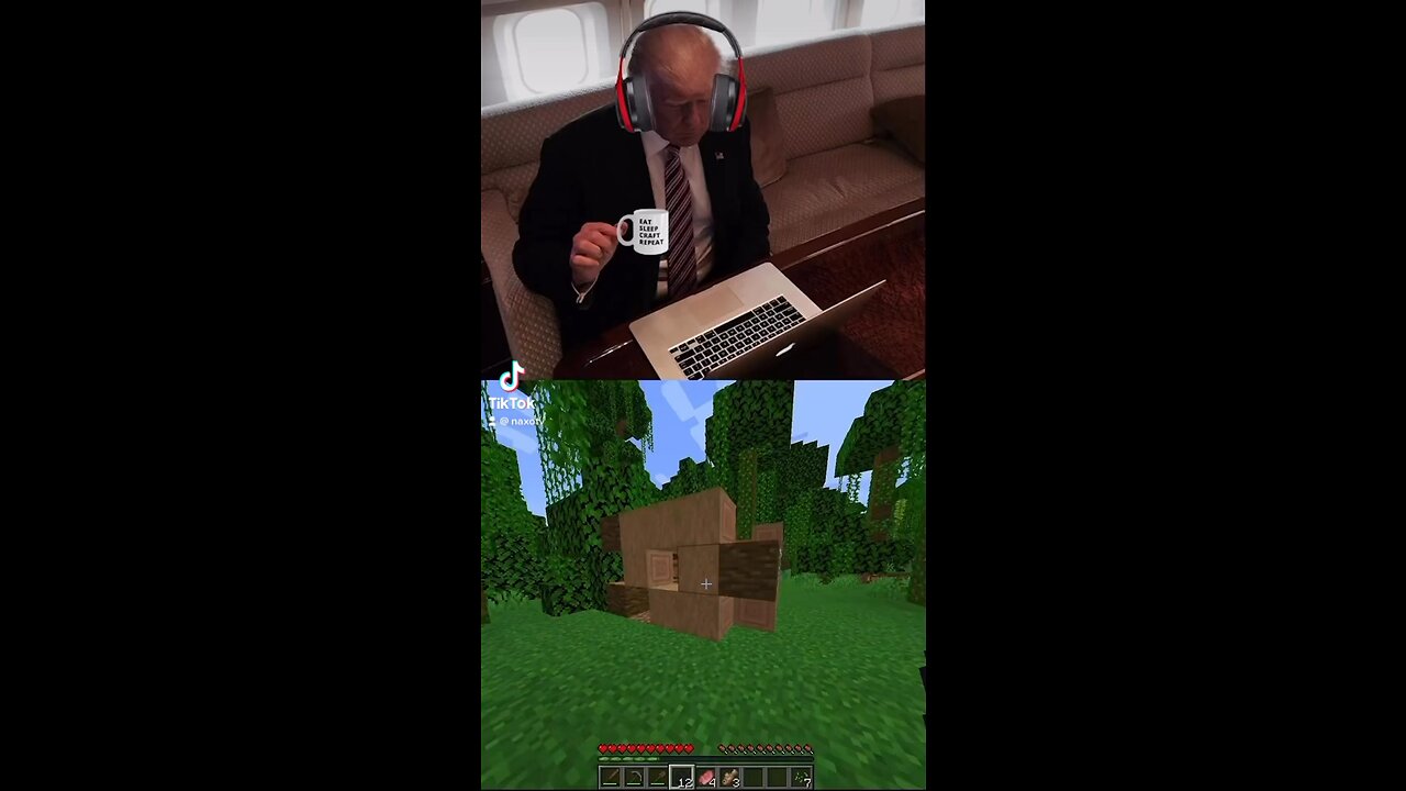 Minecraft Meme🤣