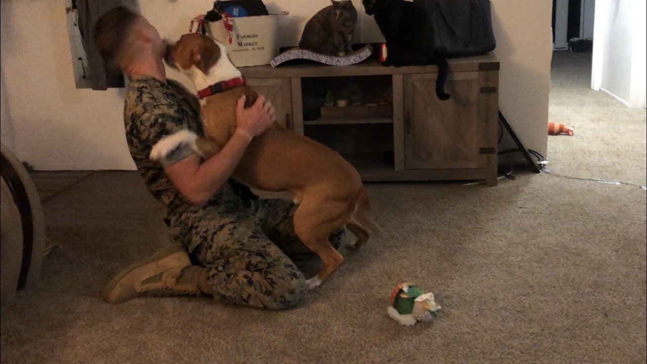 U.S. Marine returns home from deployment to surprise his dog